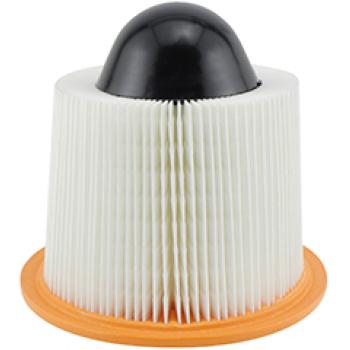 2003 Ford Lobo Air Filter