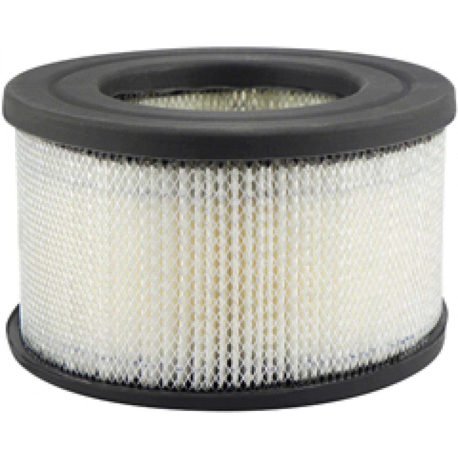 Baldwin PA4166 - Air Filter Baldwin PA4166 Air Filter product image 1 of 1