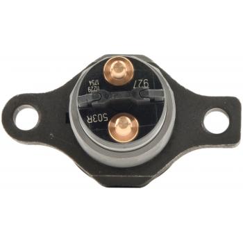 Bosch 503BQS - Fuel Injector Bosch 503BQS Fuel Injector product image 8 of 11