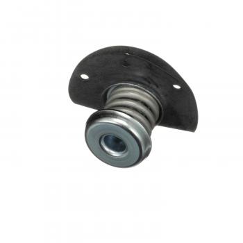 1985 Chevrolet Citation II Fuel Injection Pressure Regulator