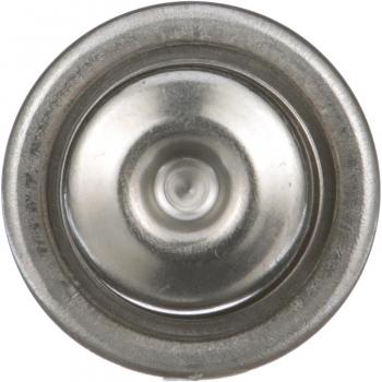 BWD 32503 Fuel Injection Pressure Damper product image 7 of 7