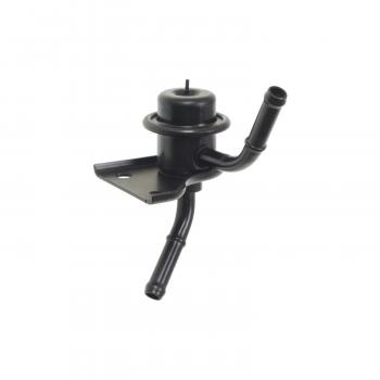 BWD 32507 Fuel Injection Pressure Damper product image 3 of 3