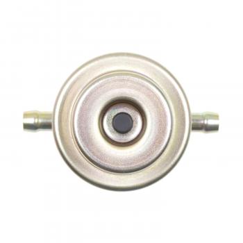 BWD 32524 Fuel Injection Pressure Damper product image 3 of 3