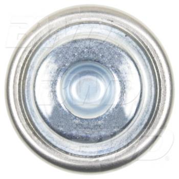 BWD 32529 Fuel Injection Pressure Damper product image 3 of 3