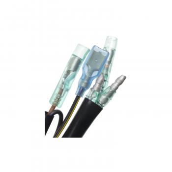 BWD CBE2136 Ignition Control Module product image 2 of 3