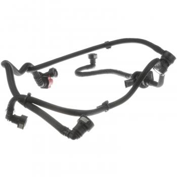 BWD CP10008 Vapor Canister Purge Valve product image 5 of 8