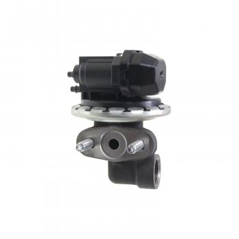 2007 Lincoln Town Car EGR Valve