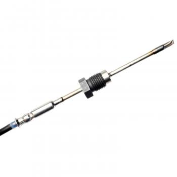 2010 Ford F-250 Super Duty Exhaust Temperature Sensor