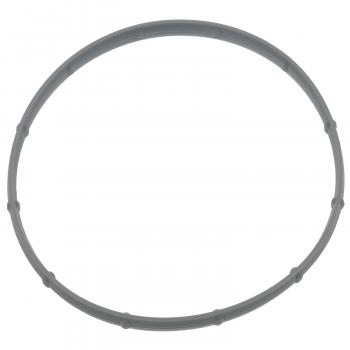2009 Chrysler Aspen Fuel Injection Throttle Body Mounting Gasket BWD G95007 image 1 of 3