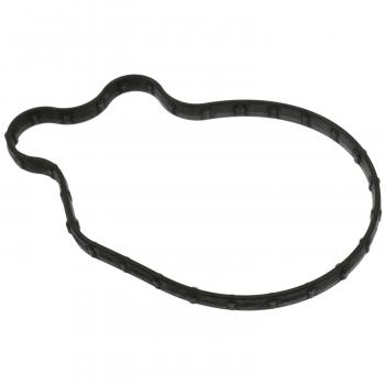 2017 Lincoln Continental Fuel Pump Mounting Gasket BWD GGD24 image 1 of 1