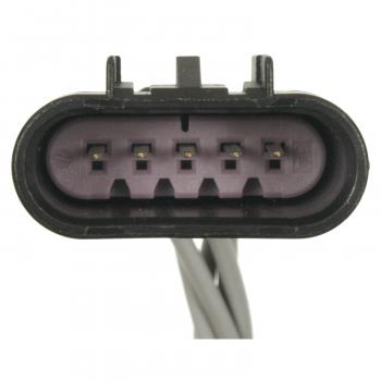 2009 Chevrolet Avalanche Rear Lamp Harness Connector BWD PT2030 image 3 of 3