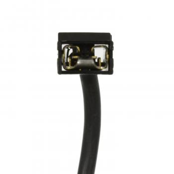 BWD PT2225 Cargo Area Light Connector product image 3 of 3