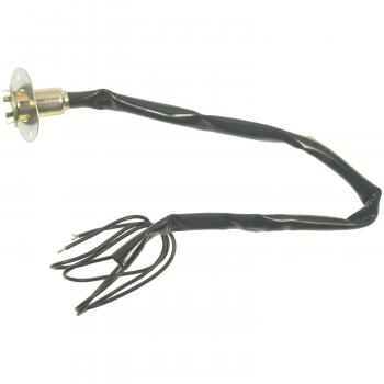 BWD PT25 Tail Lamp Socket product image 2 of 3