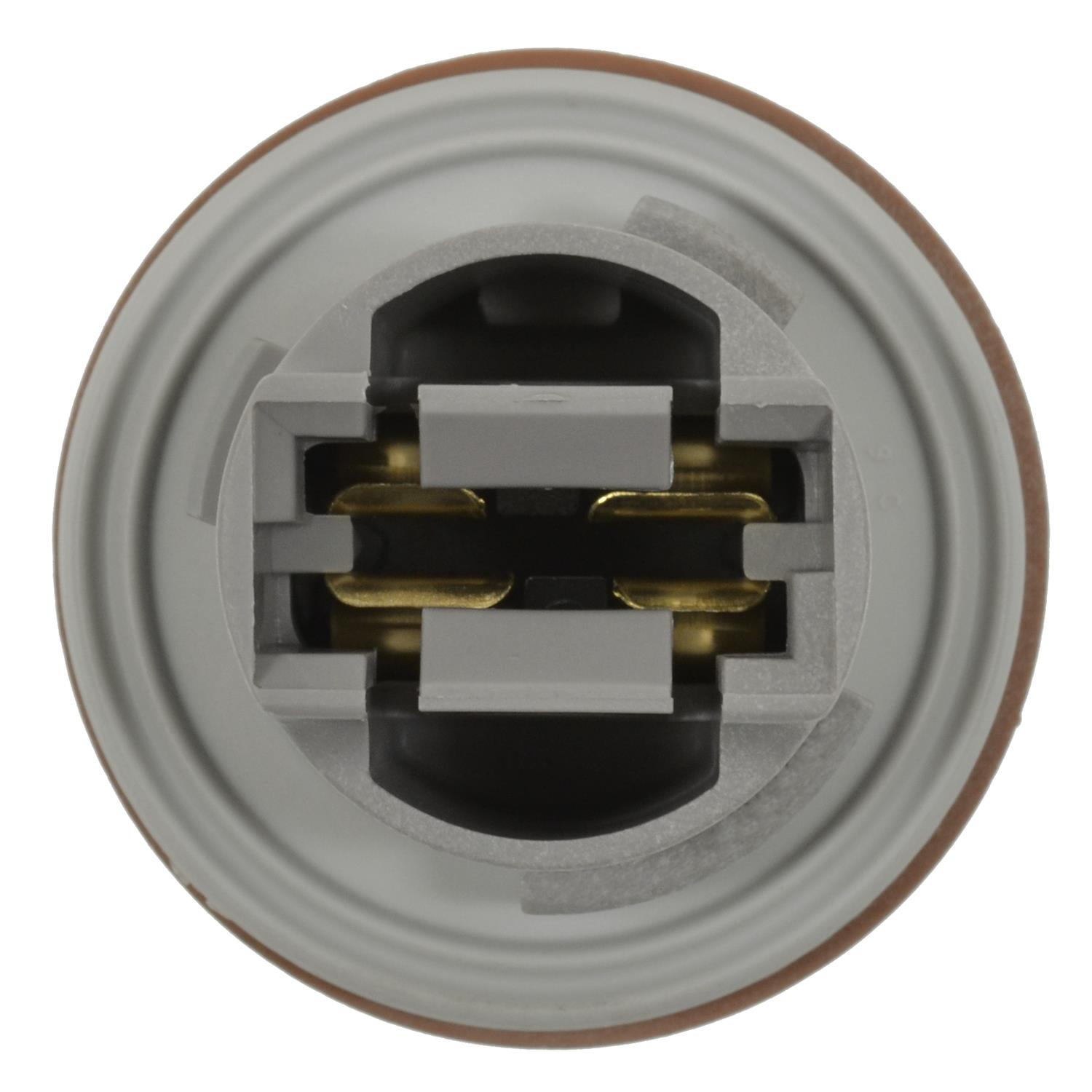 BWD PT2554 - Tail Lamp Socket BWD PT2554 Back Up Light Socket product image 2 of 5
