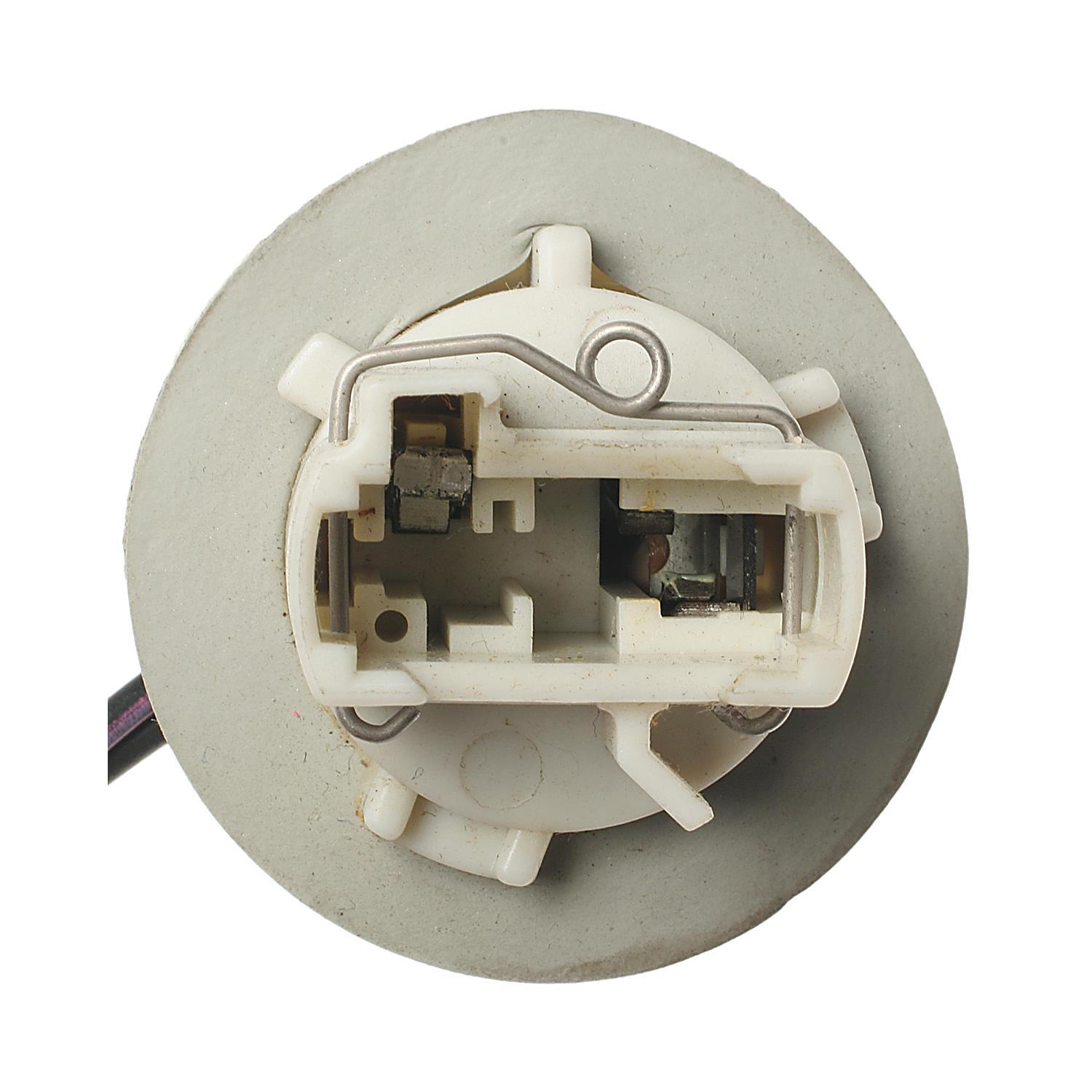 BWD PT256 - Back Up Light Socket BWD PT256 Back Up Light Socket product image 2 of 3
