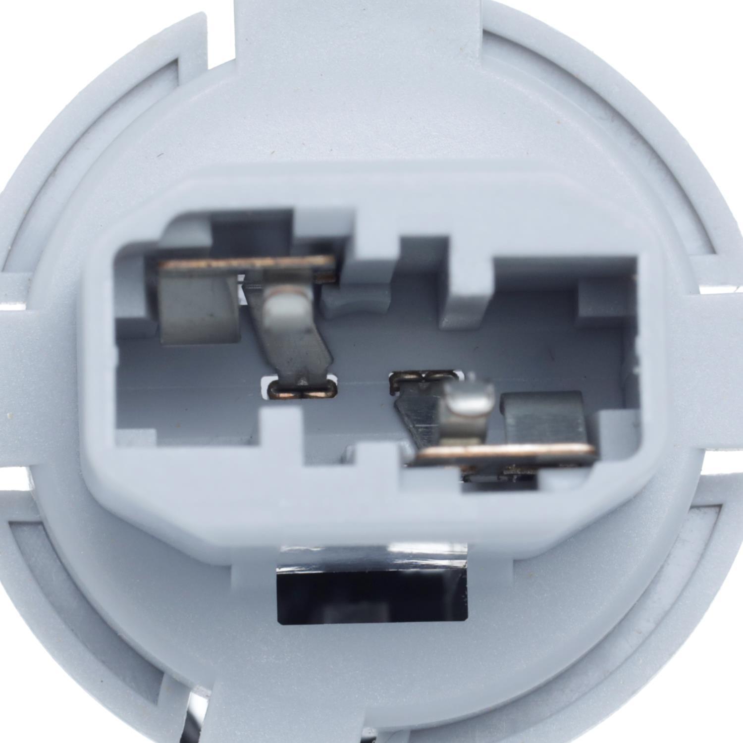 BWD PT2563 Back Up Light Socket product image 9 of 10
