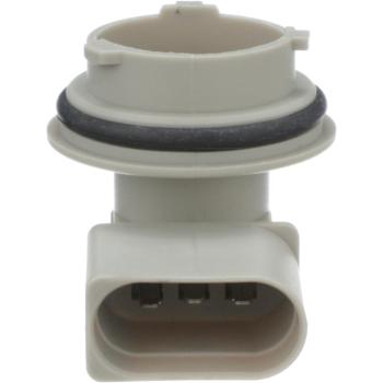 2003 Volkswagen EuroVan Turn Signal Light Socket BWD PT2565 image 2 of 4