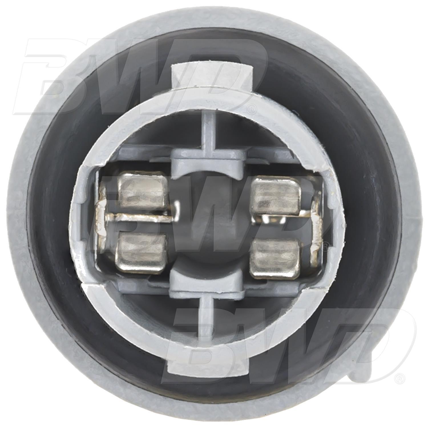 BWD PT2590 - Back Up Light Socket BWD PT2590 Back Up Light Socket product image 4 of 4