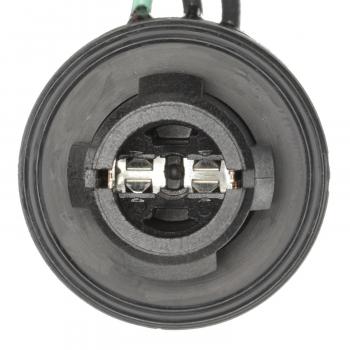 BWD PT2606 Tail Light Connector product image 5 of 10