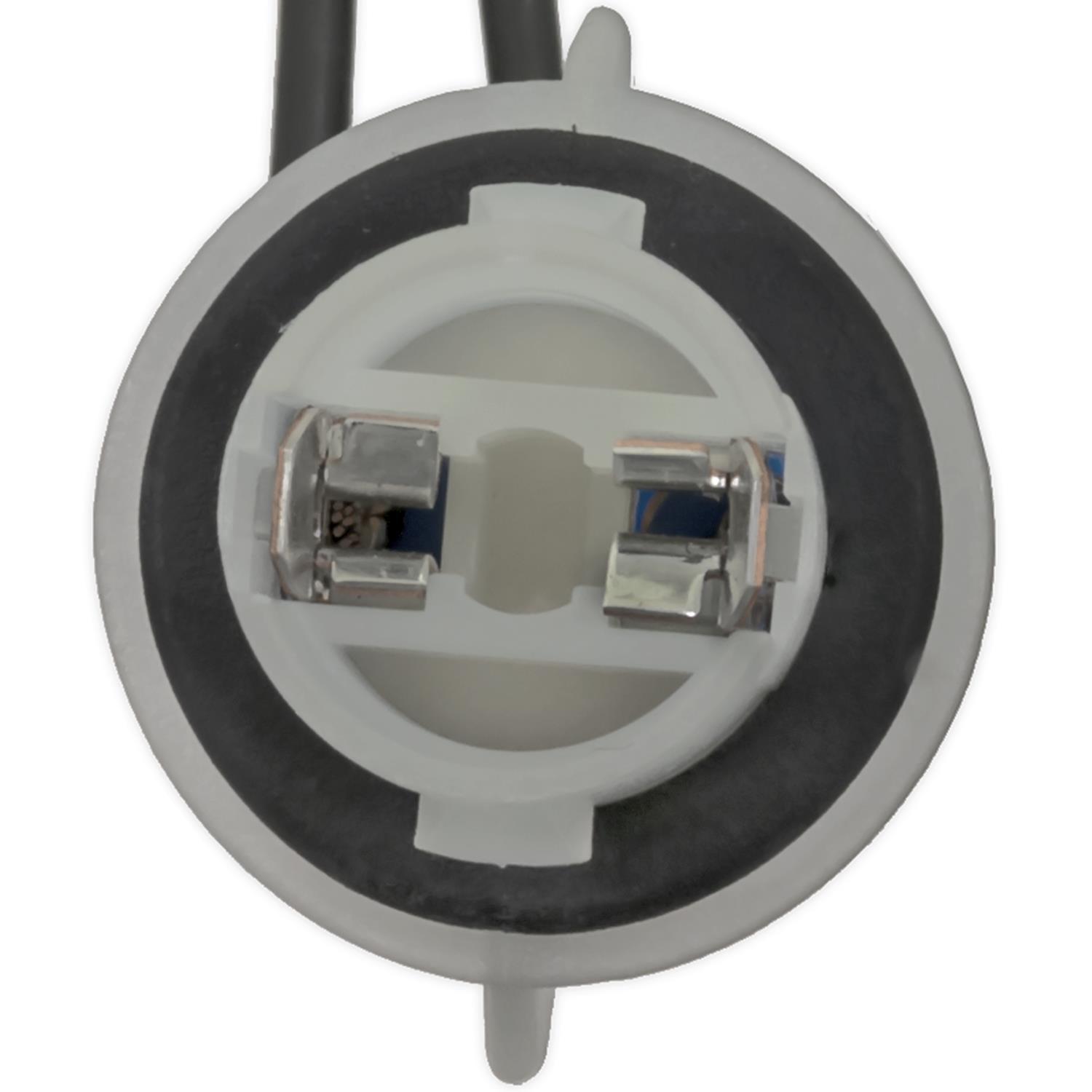 BWD PT3803 - Side Marker Light Socket BWD PT3803 License Lamp Socket product image 1 of 4