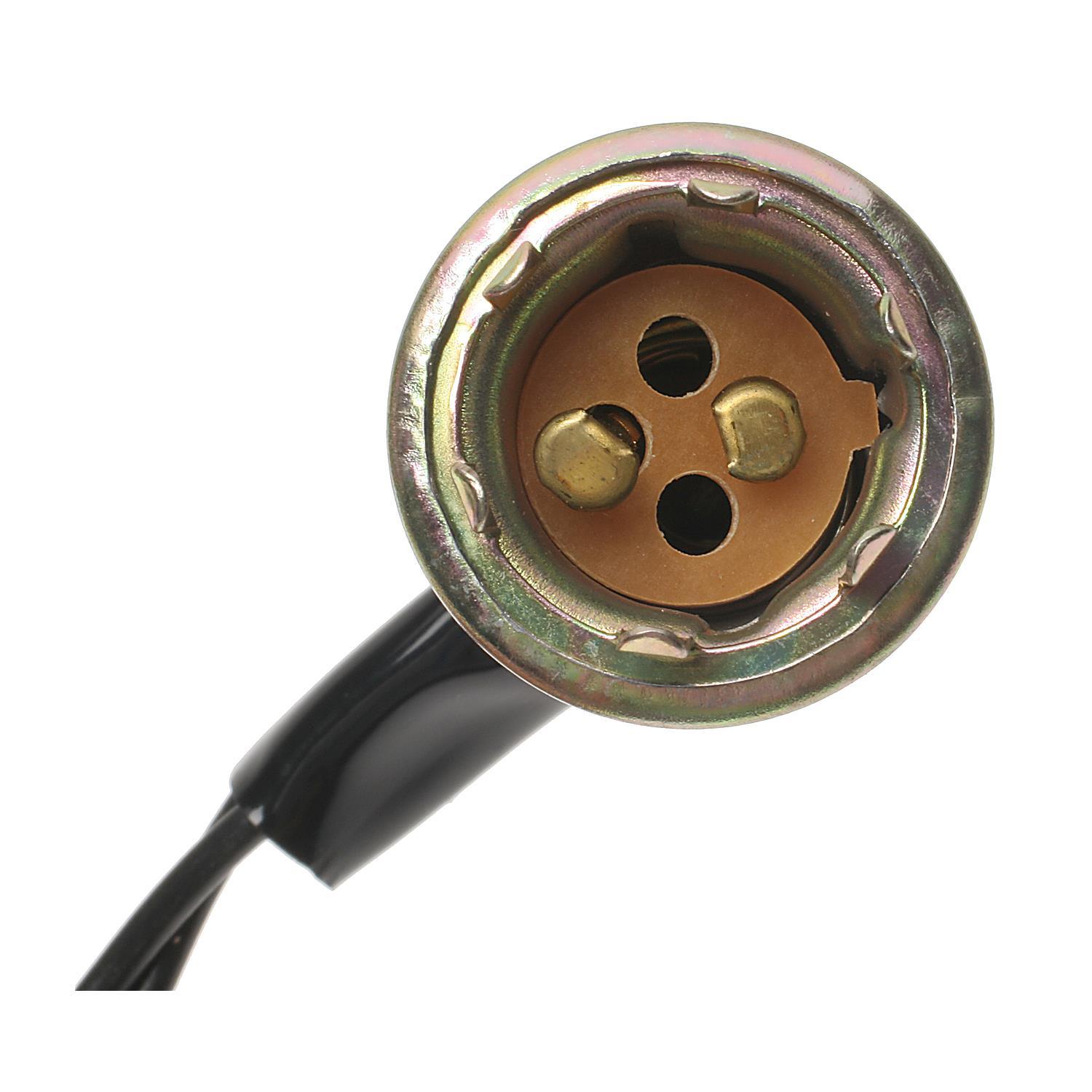 BWD PT41 - Back Up Light Socket BWD PT41 Back Up Light Socket product image 3 of 3