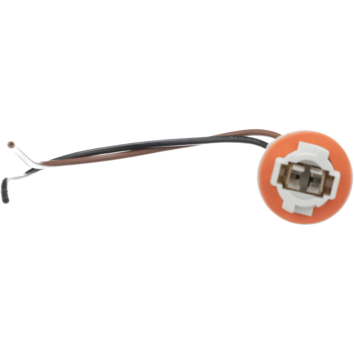 BWD PT5603 - Tail Lamp Socket BWD PT5603 Back Up Light Socket product image 4 of 7