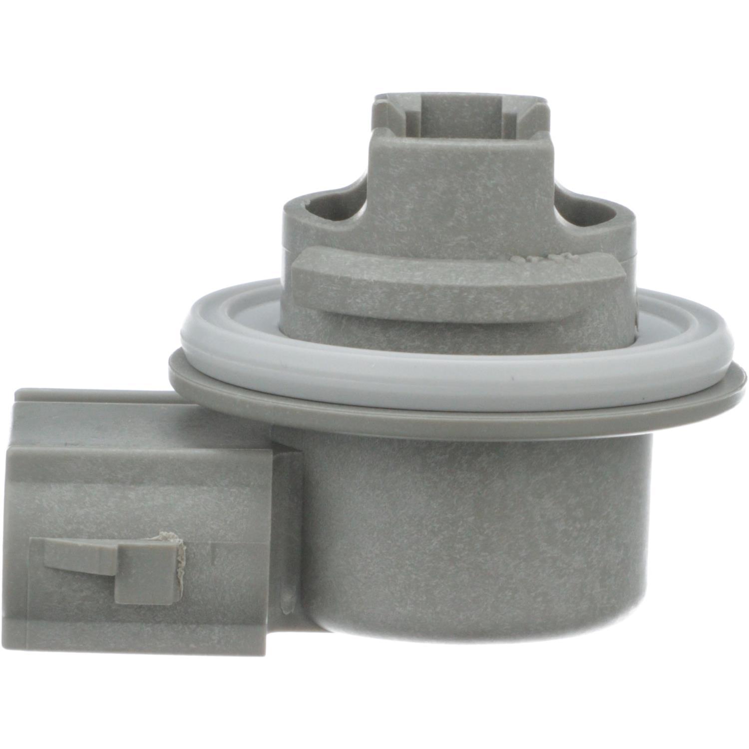 BWD PT5609 - Tail Lamp Socket BWD PT5609 Back Up Light Socket product image 5 of 8