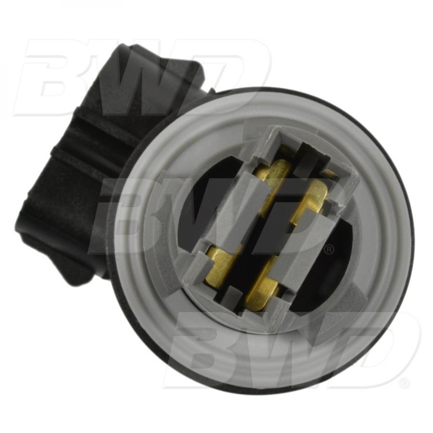 BWD PT5703 Back Up Light Socket product image 1 of 3