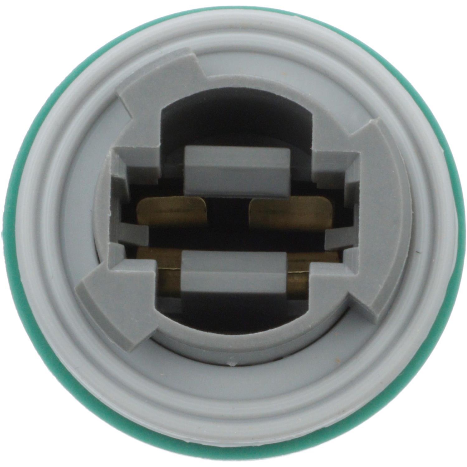 BWD PT5741 Back Up Light Socket product image 7 of 8