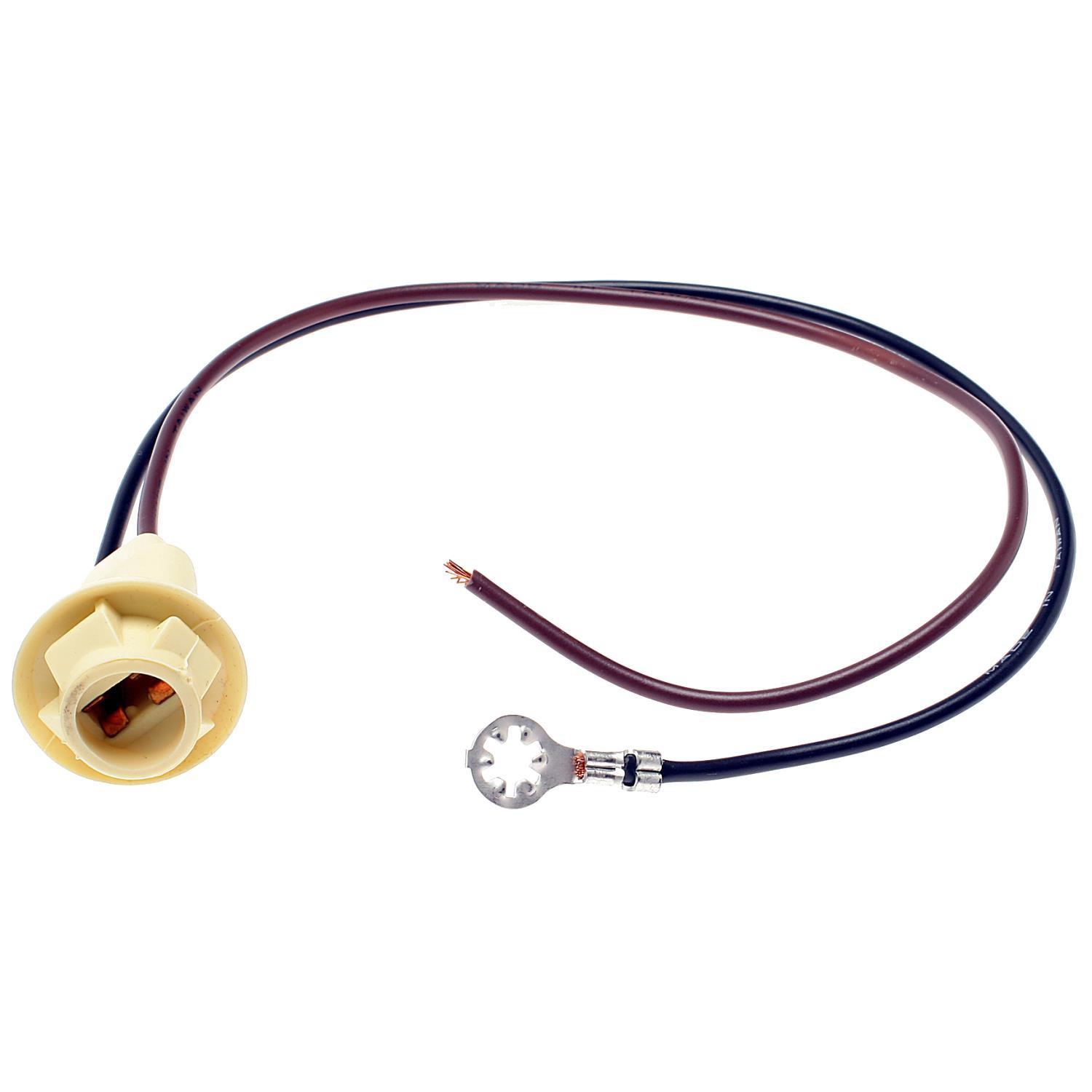 BWD PT60 - Tail Lamp Socket BWD PT60 Back Up Light Socket product image 2 of 7
