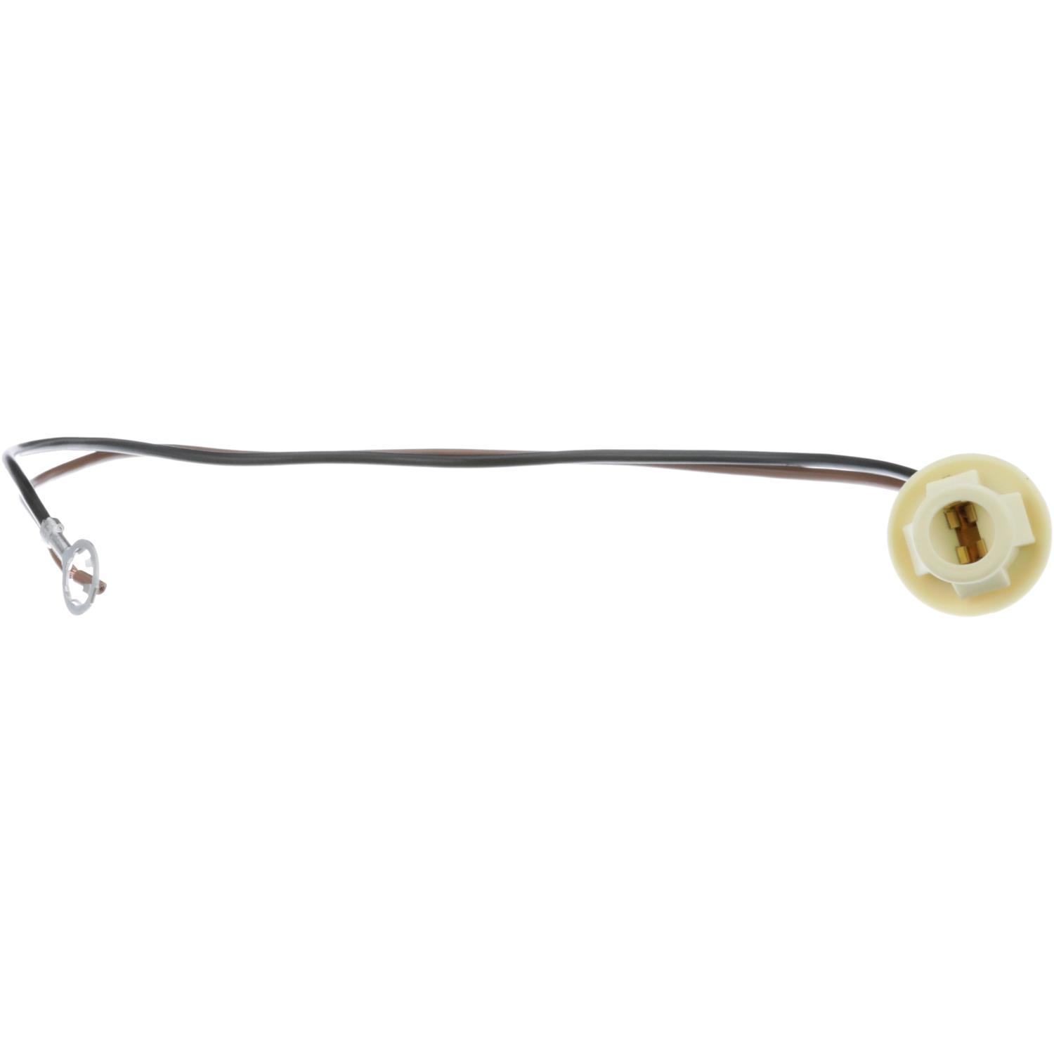 BWD PT60 - Tail Lamp Socket BWD PT60 Back Up Light Socket product image 4 of 7