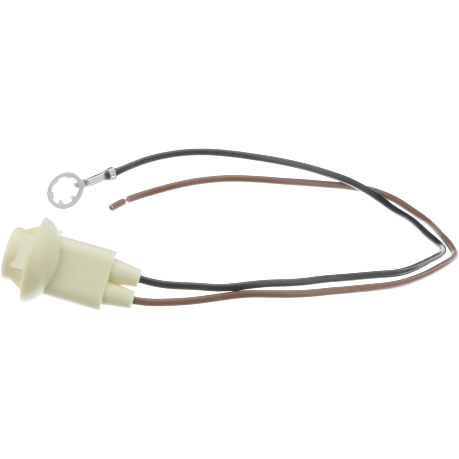 BWD PT60 - Tail Lamp Socket BWD PT60 Back Up Light Socket product image 6 of 7