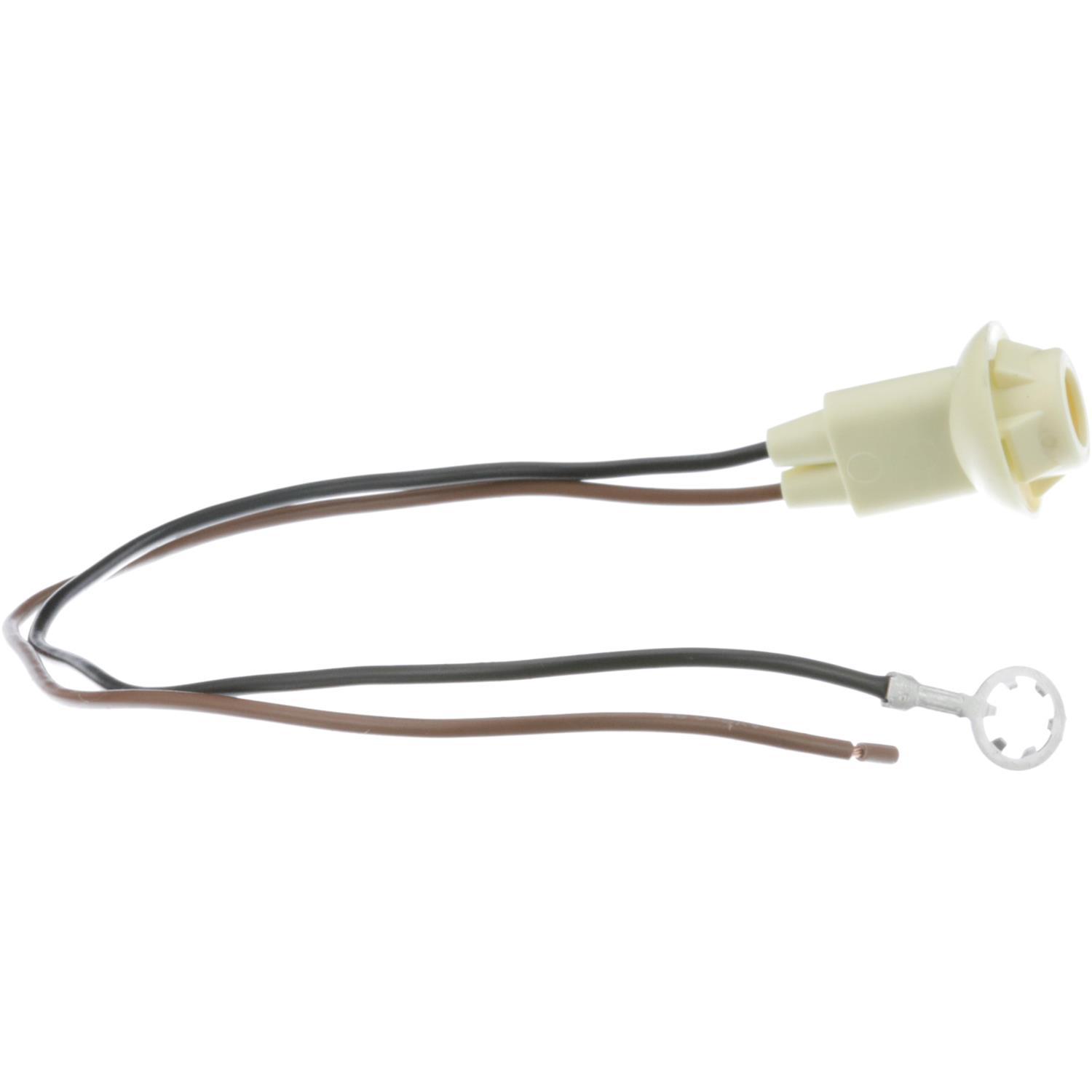 BWD PT60 - Tail Lamp Socket BWD PT60 Back Up Light Socket product image 7 of 7