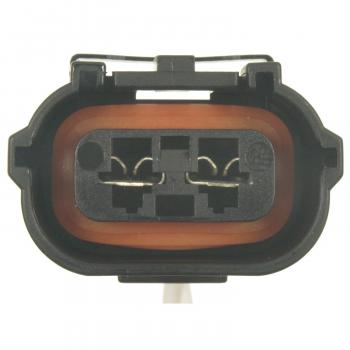 BWD PT846 Headlight Washer Pump Connector product image 1 of 3