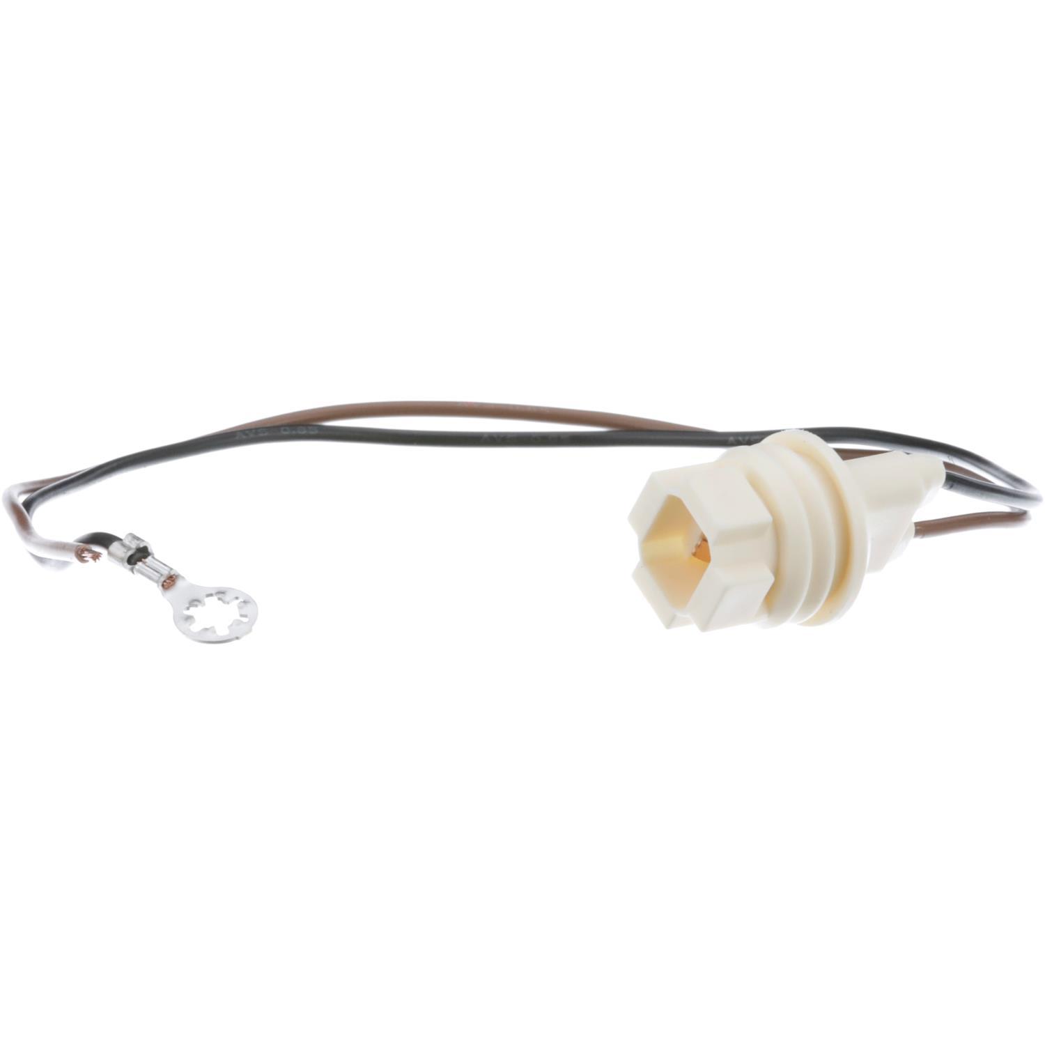 BWD PT85 - Tail Lamp Socket BWD PT85 Back Up Light Socket product image 5 of 8