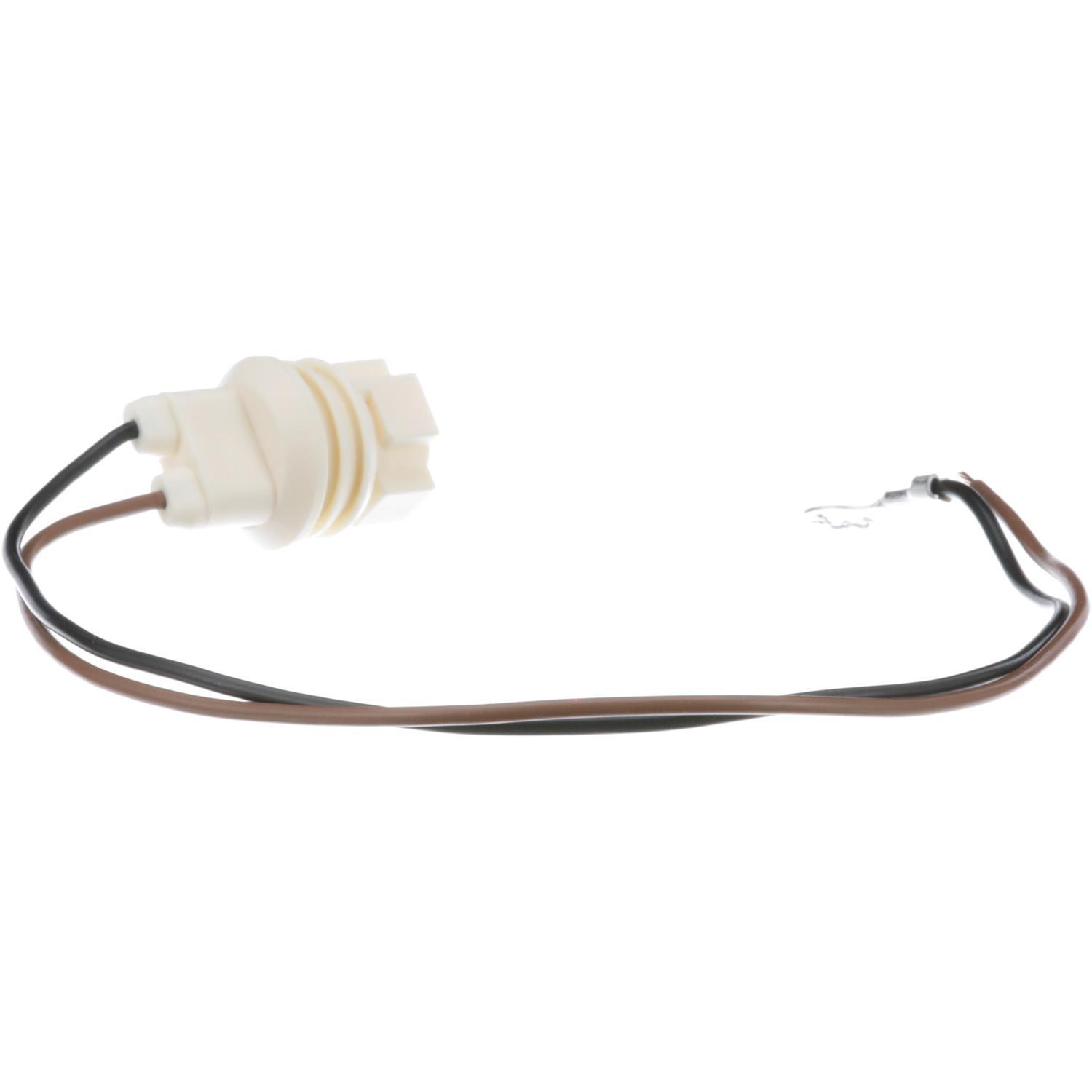 BWD PT85 - Tail Lamp Socket BWD PT85 Back Up Light Socket product image 6 of 8