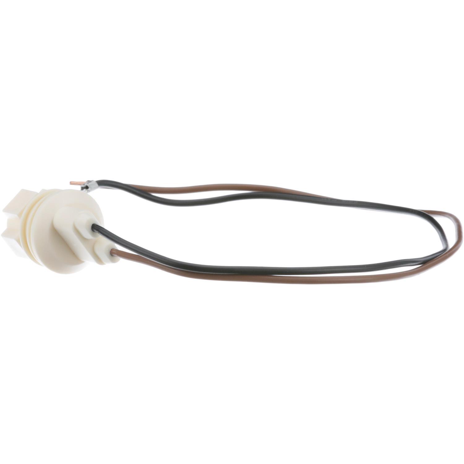 BWD PT85 - Tail Lamp Socket BWD PT85 Back Up Light Socket product image 7 of 8