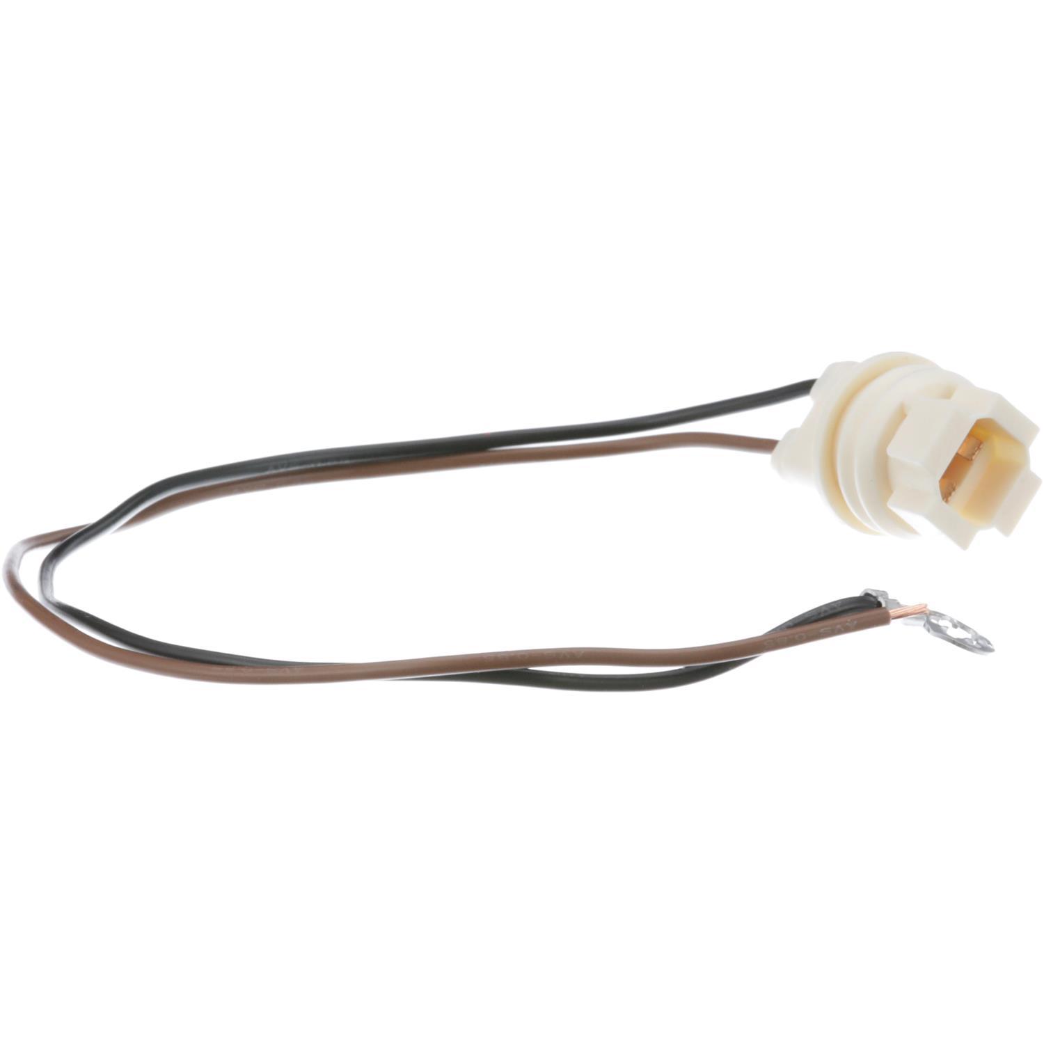 BWD PT85 - Tail Lamp Socket BWD PT85 Back Up Light Socket product image 8 of 8