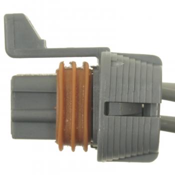 BWD PT868 Body Wiring Harness Connector product image 3 of 3