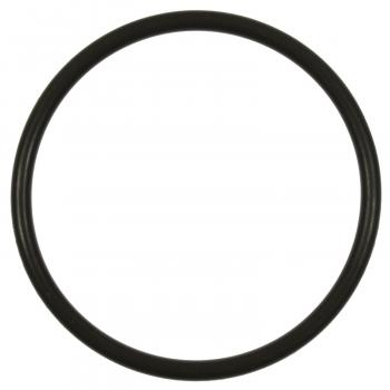 2018 Kia Optima Fuel Pump O-Ring
