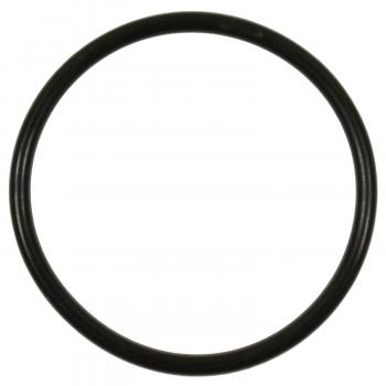 2009 Mazda CX-7 Fuel Pump O-Ring BWD RGD51 image 1 of 1
