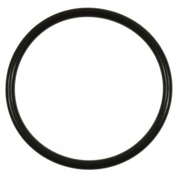 2016 Subaru Forester Fuel Pump O-Ring