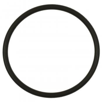 2018 Toyota Camry Fuel Pump O-Ring