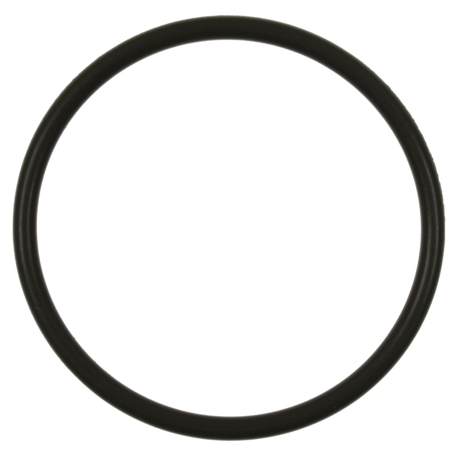 BWD RGD91 - Fuel Pump O-Ring BWD RGD91 Fuel Pump O-Ring product image 1 of 2