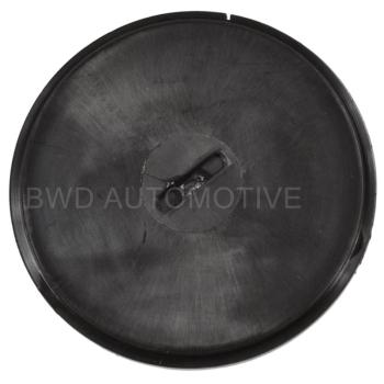 1971 Pontiac Acadian Carburetor Choke Thermostat