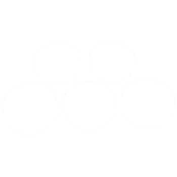 2010 Hummer H3T Engine Camshaft Bearing Set