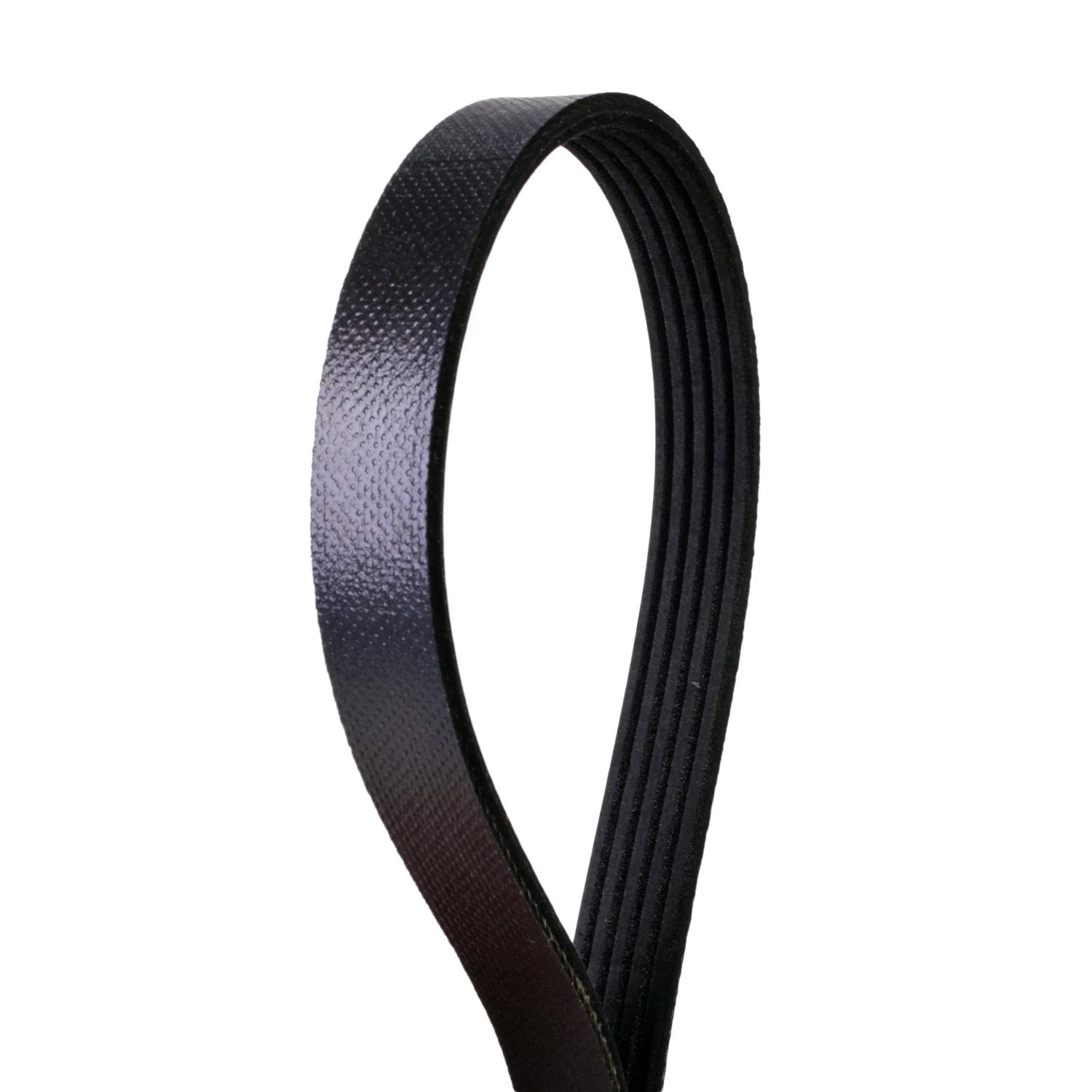Continental 4050315 - Serpentine Belt Continental 4050315 Serpentine Belt product image 1 of 1