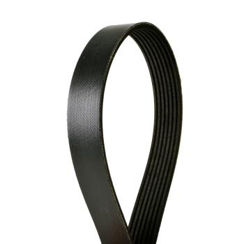 2003 Dodge Ram 3500 Serpentine Belt