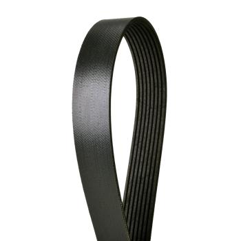 2003 Dodge Ram 3500 Serpentine Belt Continental 4081261 image 1 of 1