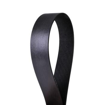 2015 International ProStar Serpentine Belt Fan Continental 4120851FX image 1 of 1